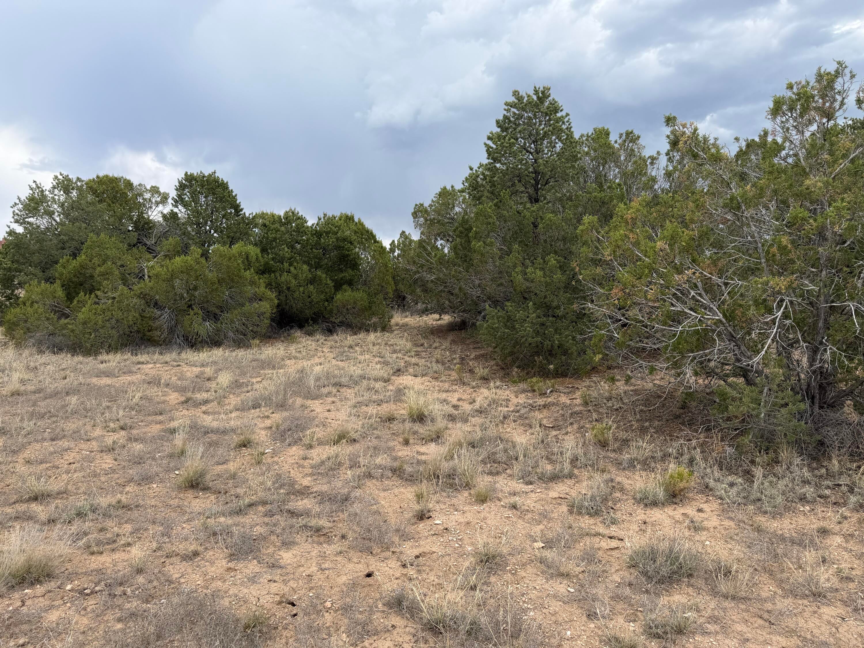 Lot 24 Stagecoach Trail