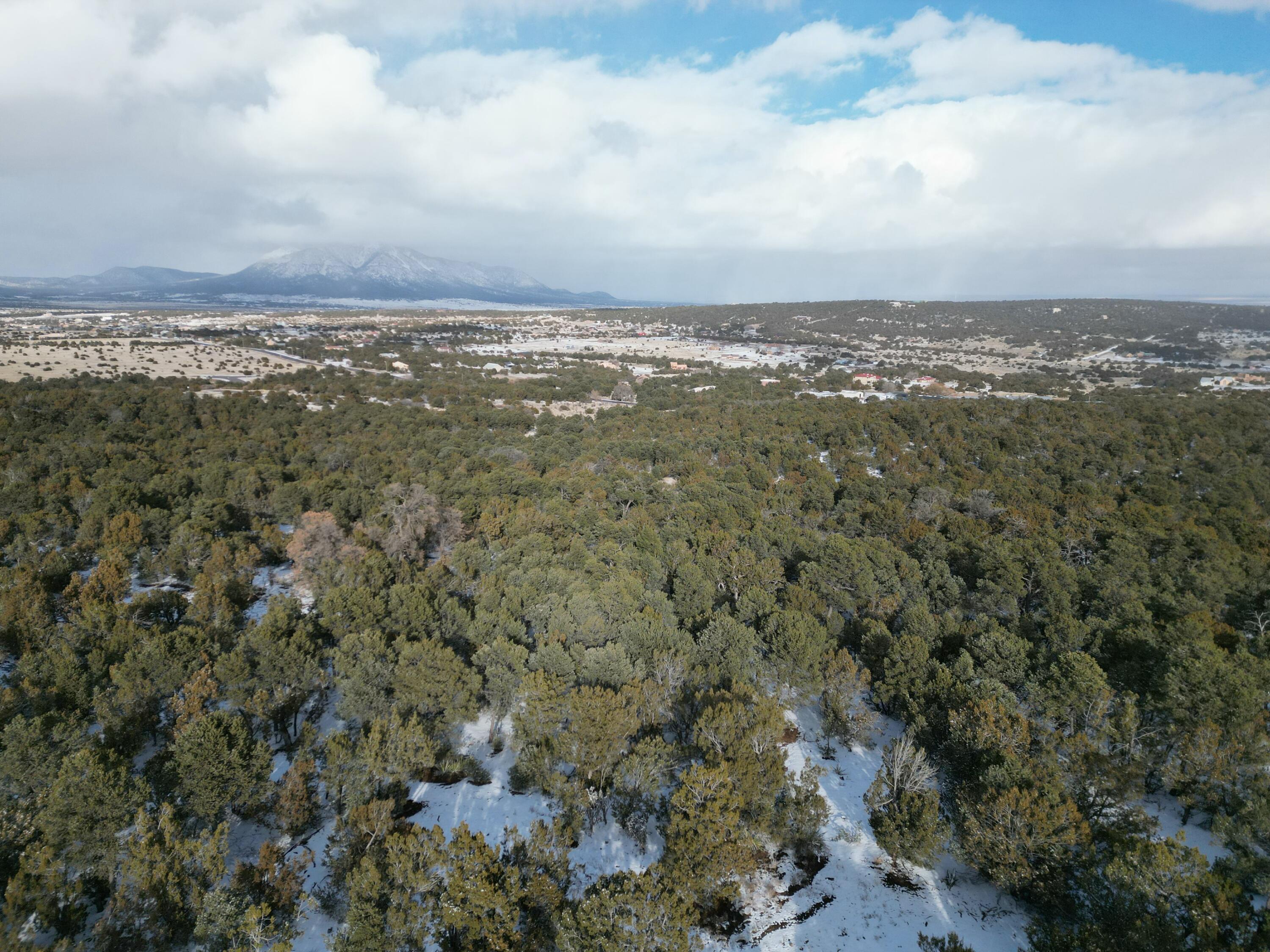 22 Punch Court, Tijeras, New Mexico image 10