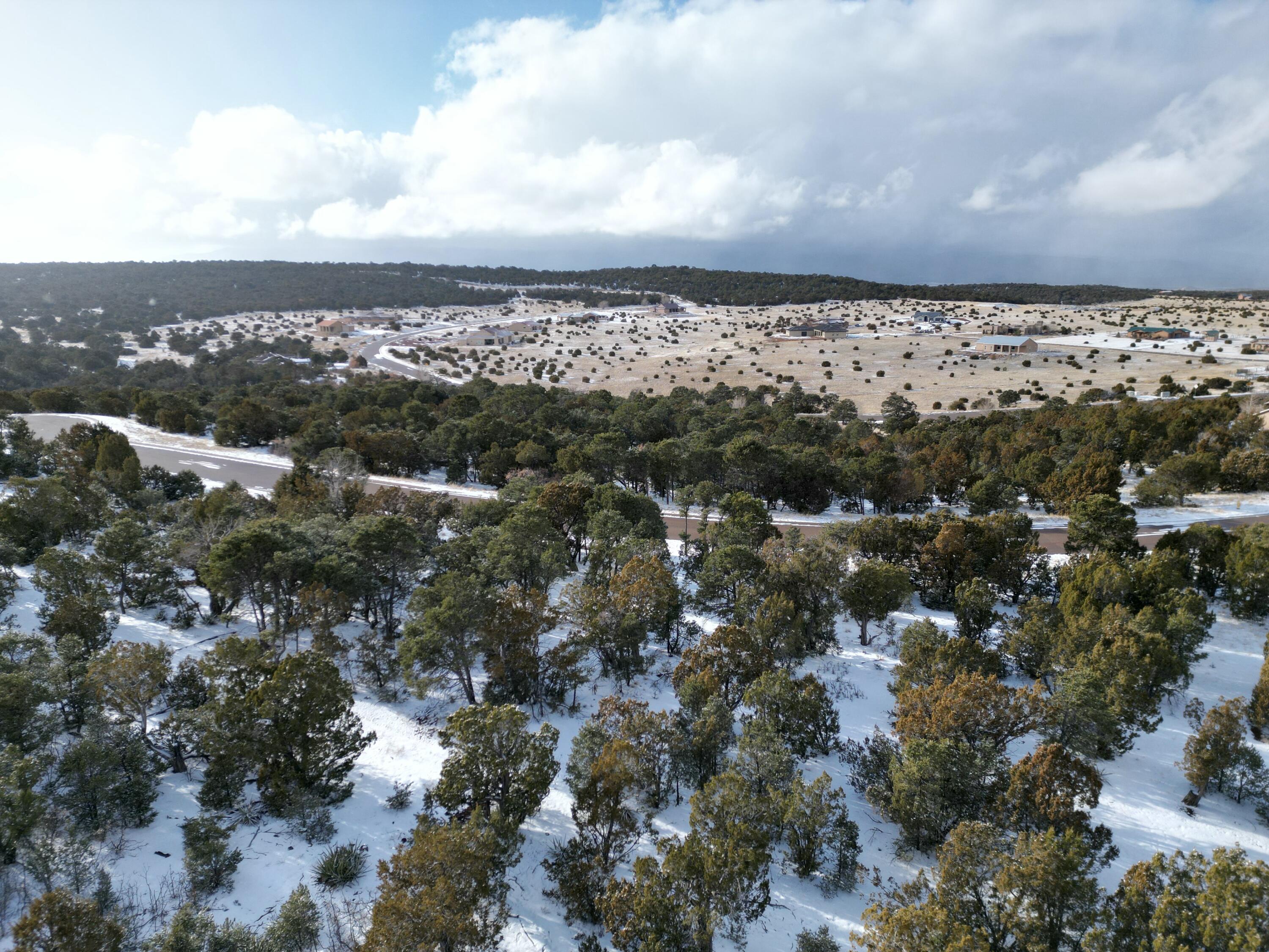 22 Punch Court, Tijeras, New Mexico image 8