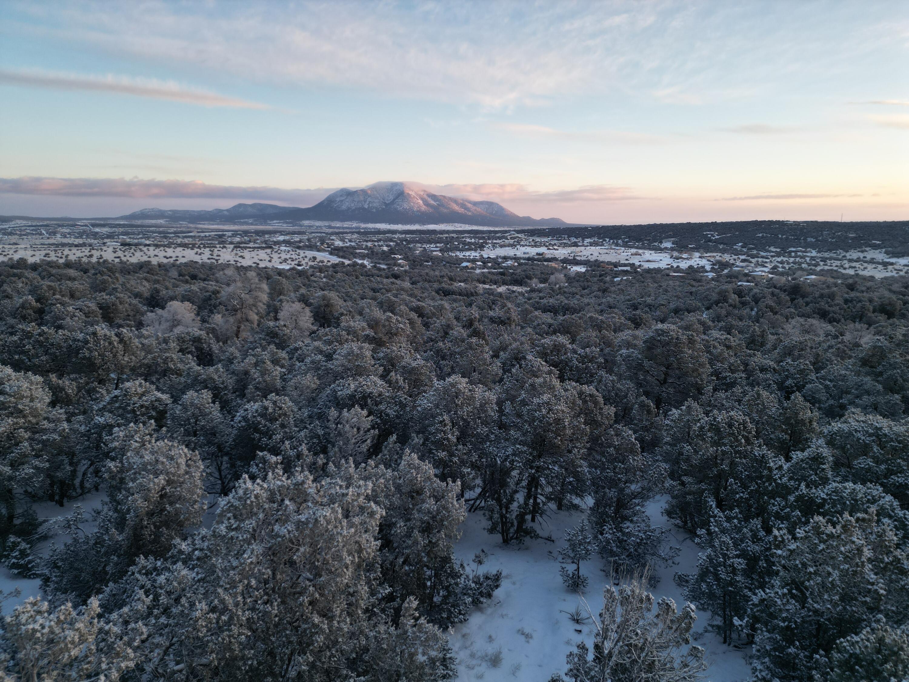 22 Punch Court, Tijeras, New Mexico image 1