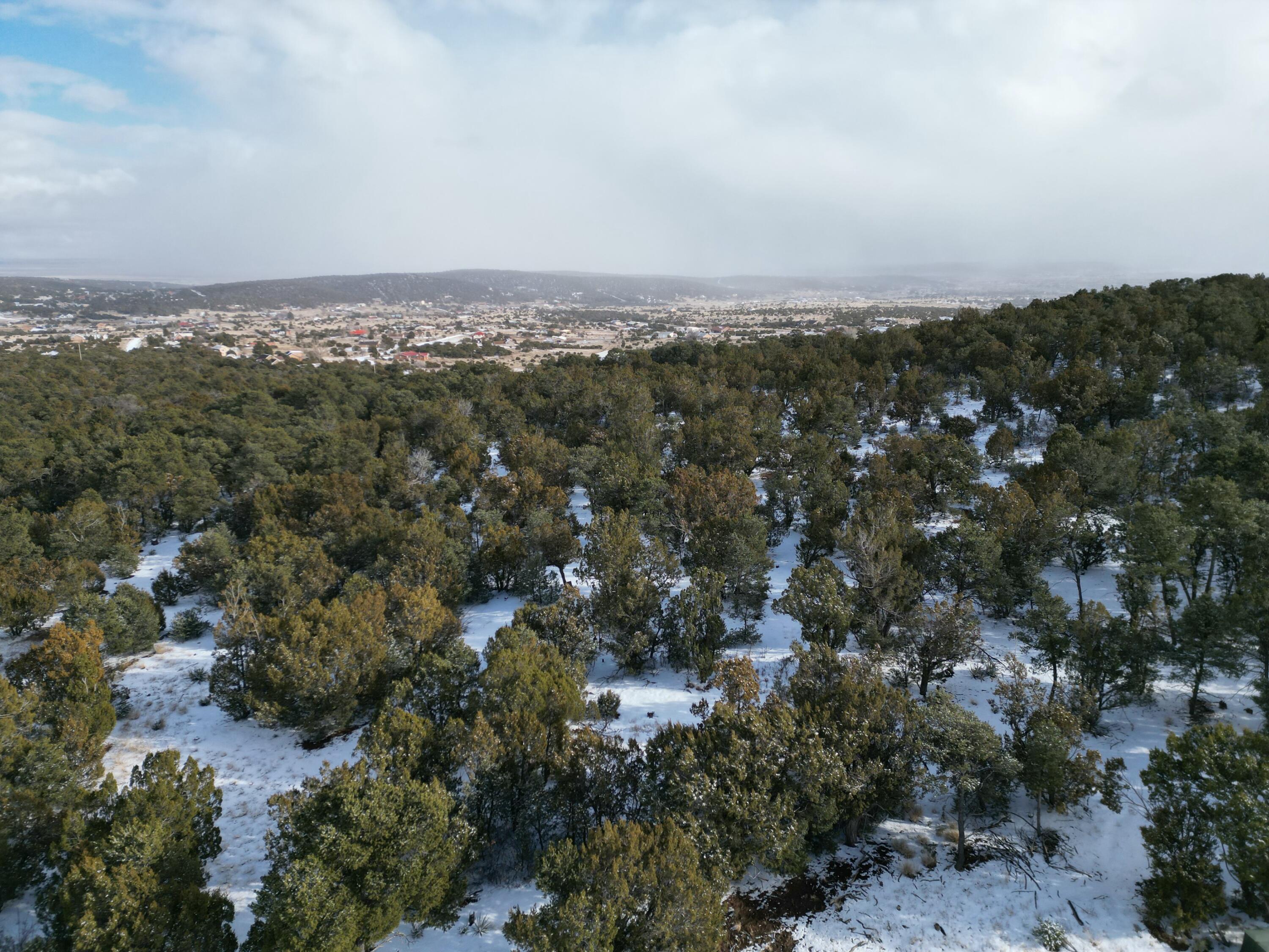 22 Punch Court, Tijeras, New Mexico image 11