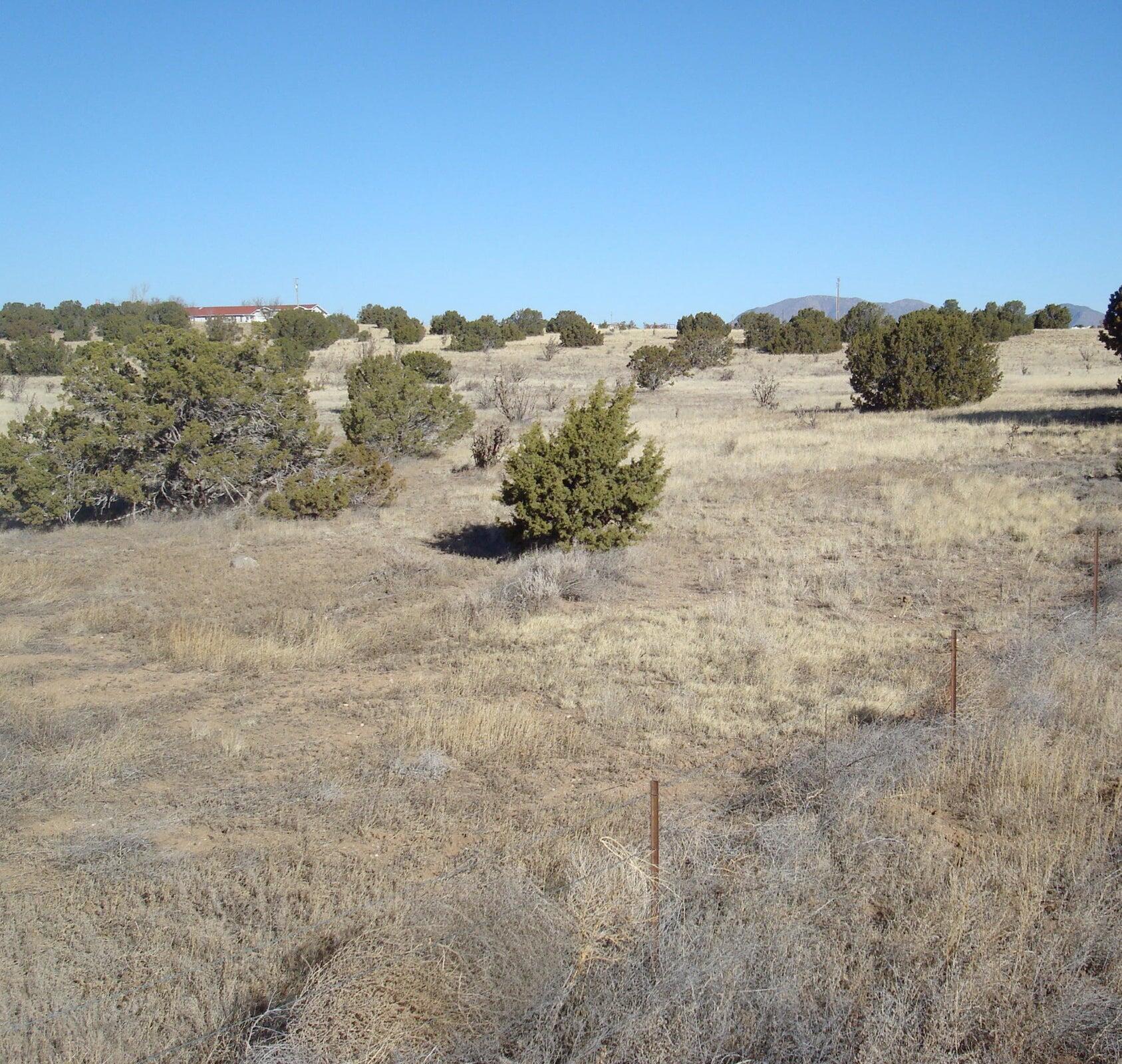 51 Williams Ranch Road
