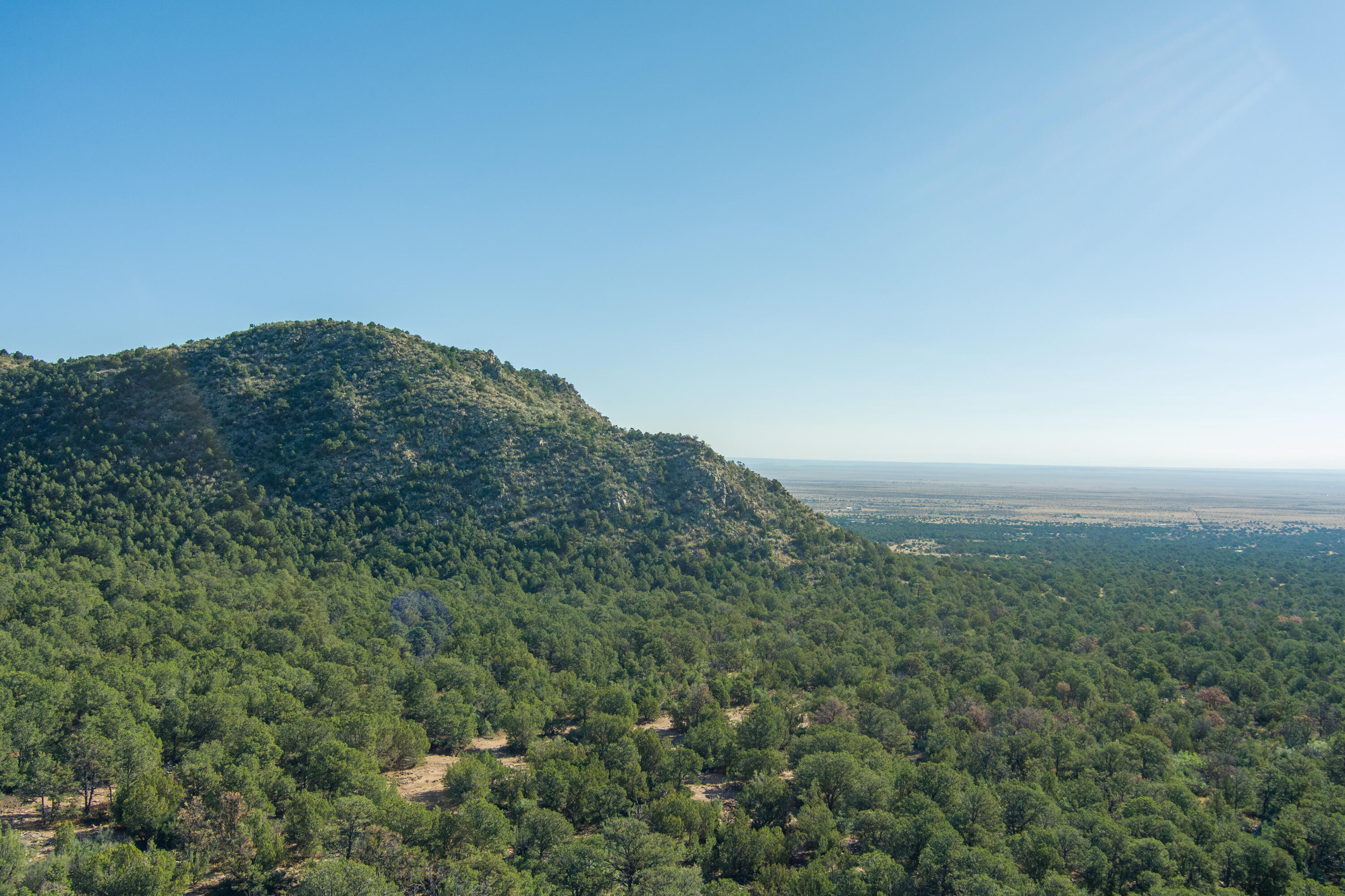 15 Camino San Pedros Road, Edgewood, New Mexico image 36