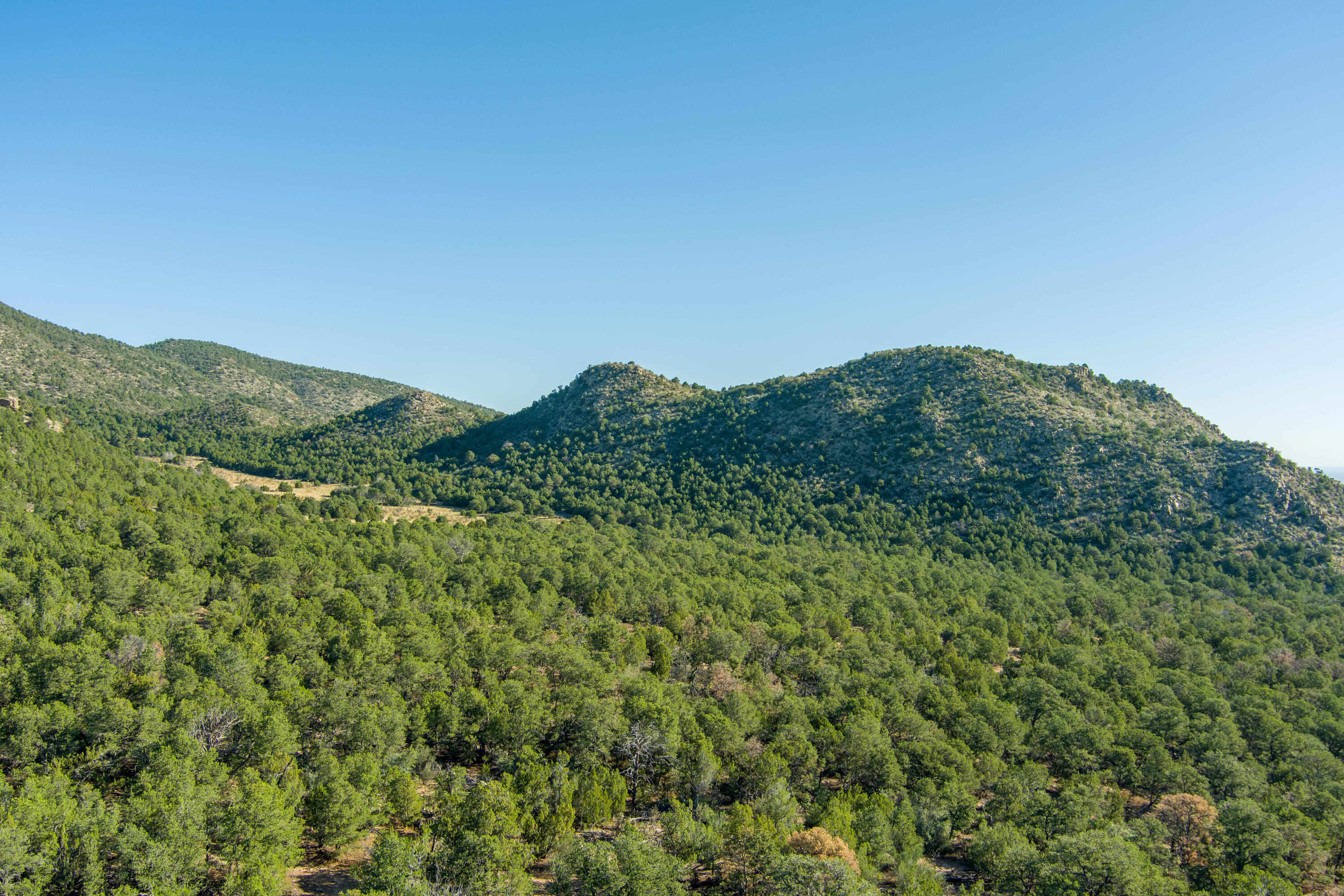 15 Camino San Pedros Road, Edgewood, New Mexico image 35