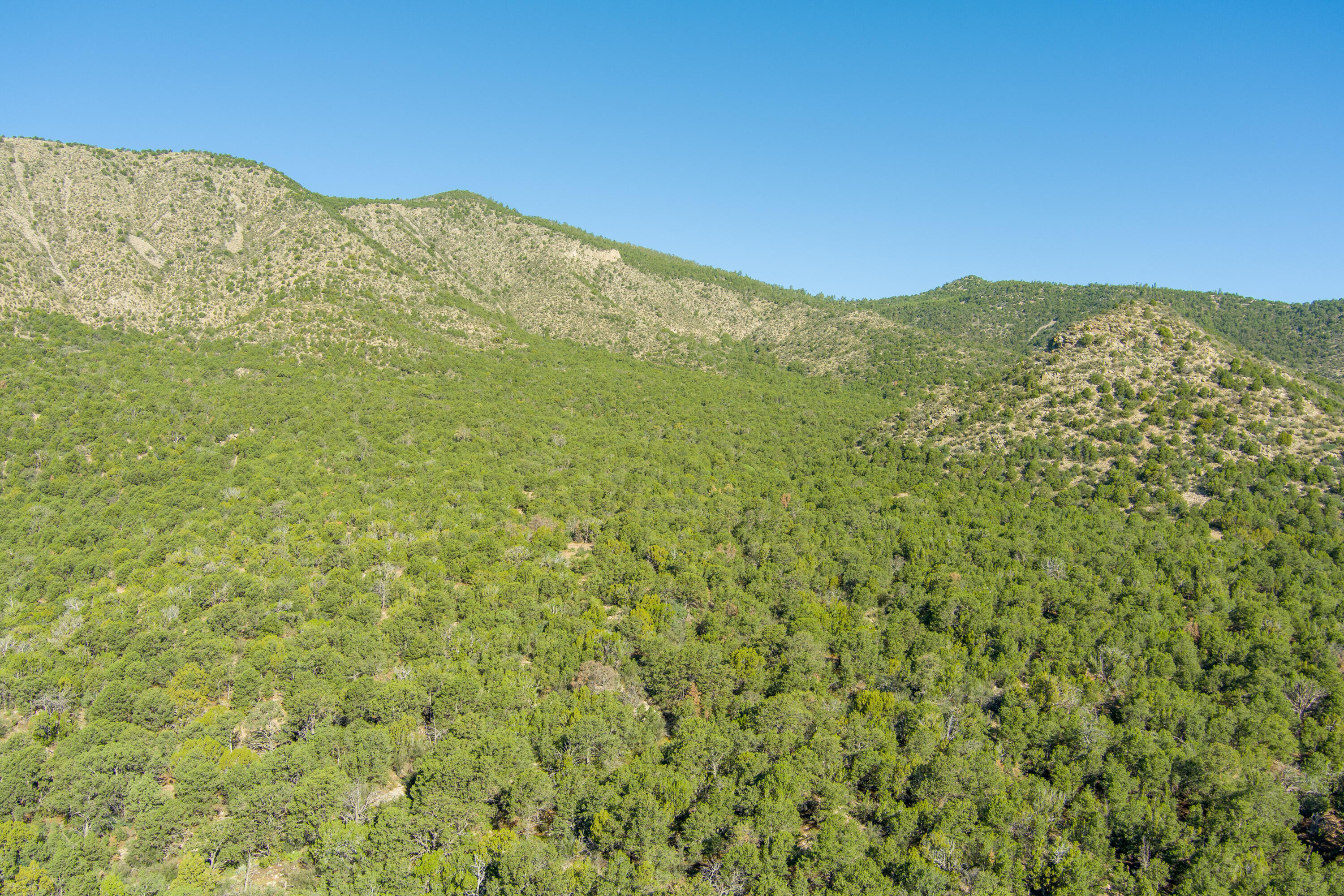 15 Camino San Pedros Road, Edgewood, New Mexico image 33