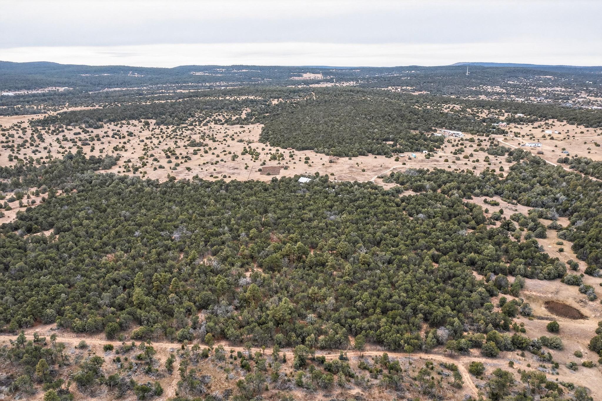 14 Falling Star Drive