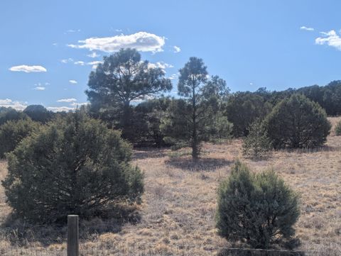 Vacant Land For Sale - 14 Falling Star Drive<br/> Bernalillo County, Tijeras, NM 87059