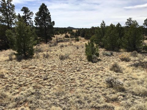 Vacant Land For Sale - LOT 682 Che Loop<br/> Ramah, NM 87321