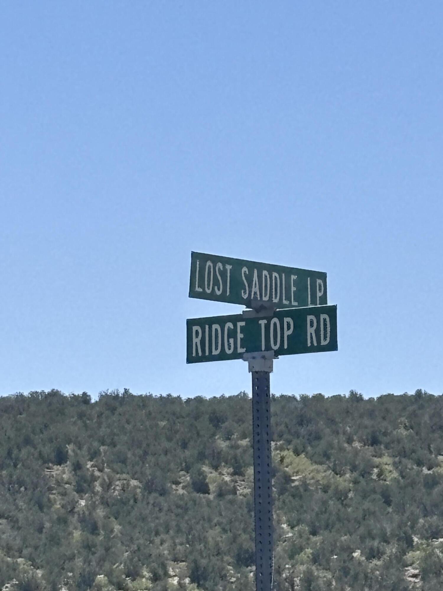47 Lost Saddle Loop, Santa Rosa, New Mexico image 5