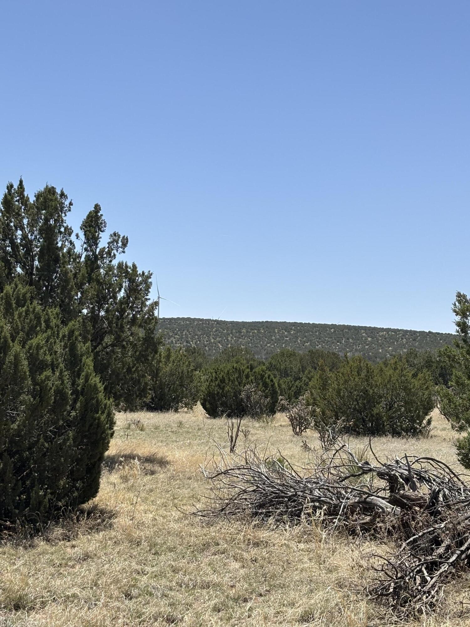 47 Lost Saddle Loop, Santa Rosa, New Mexico image 8