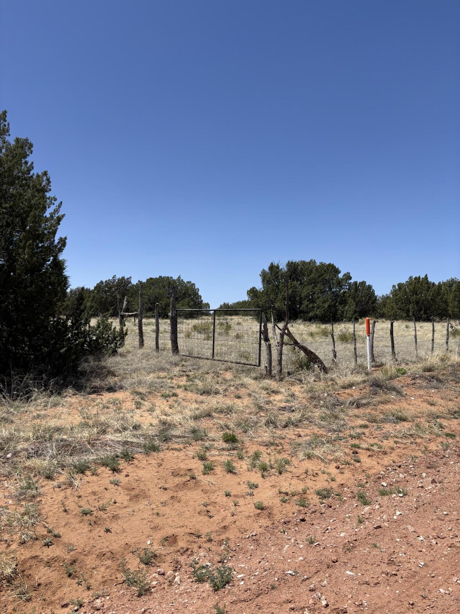 47 Lost Saddle Loop, Santa Rosa, New Mexico image 7