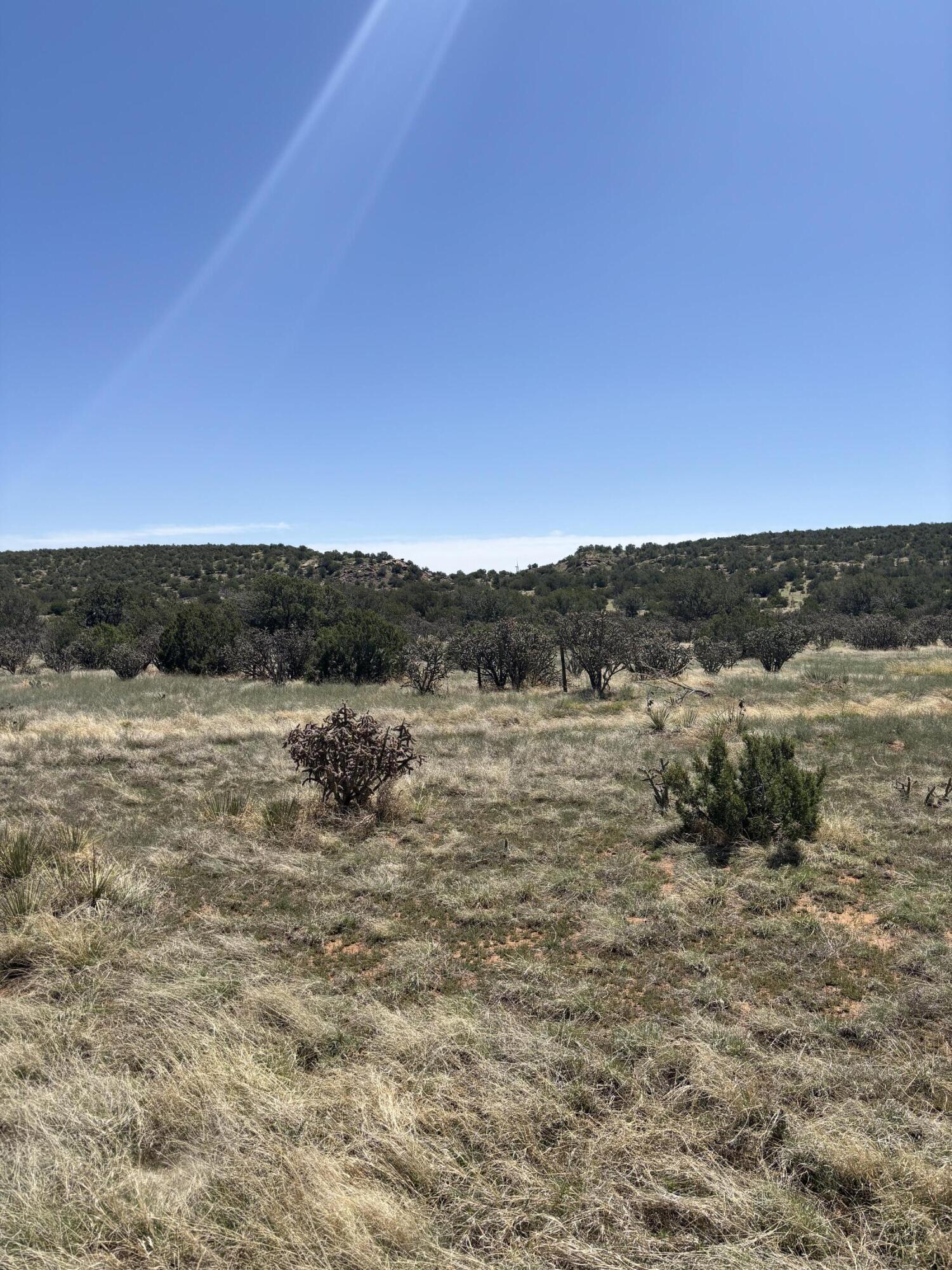47 Lost Saddle Loop, Santa Rosa, New Mexico image 3