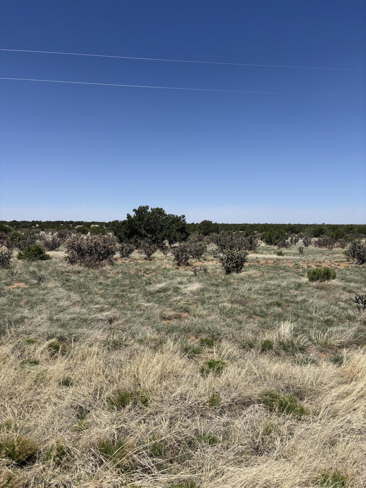 47 Lost Saddle Loop, Santa Rosa, New Mexico image 1