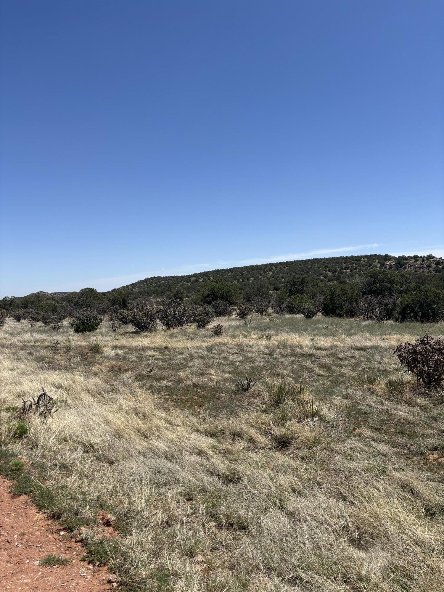 47 Lost Saddle Loop, Santa Rosa, New Mexico image 4
