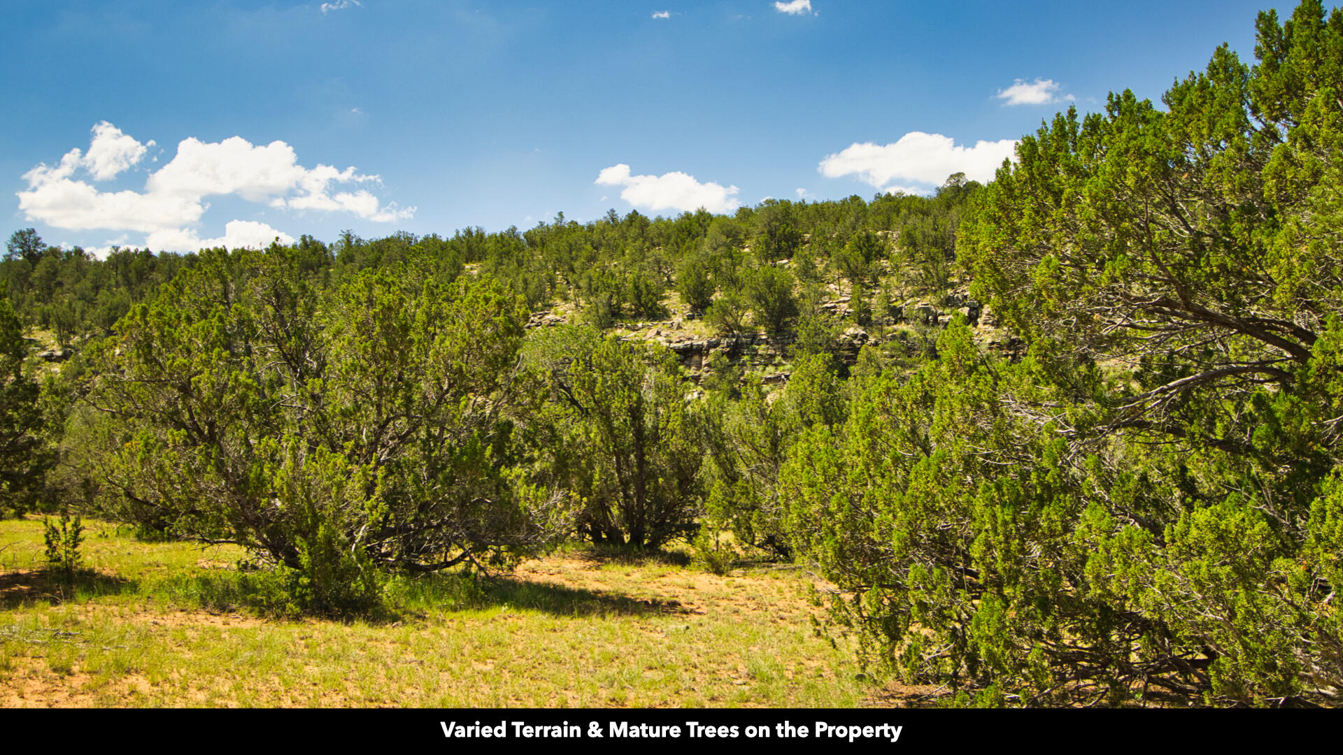 0 County Rd B29a, Villanueva, New Mexico image 42