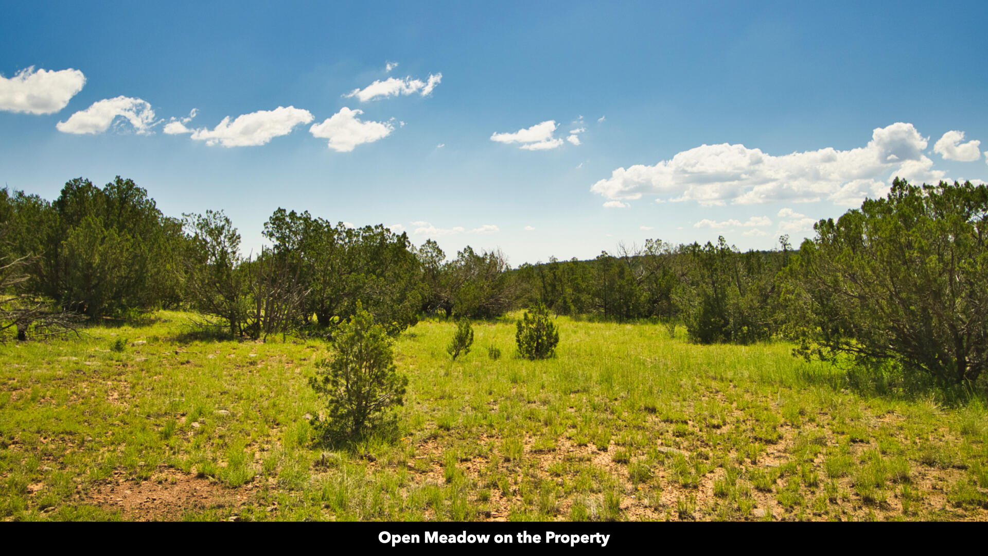 0 County Rd B29a, Villanueva, New Mexico image 43