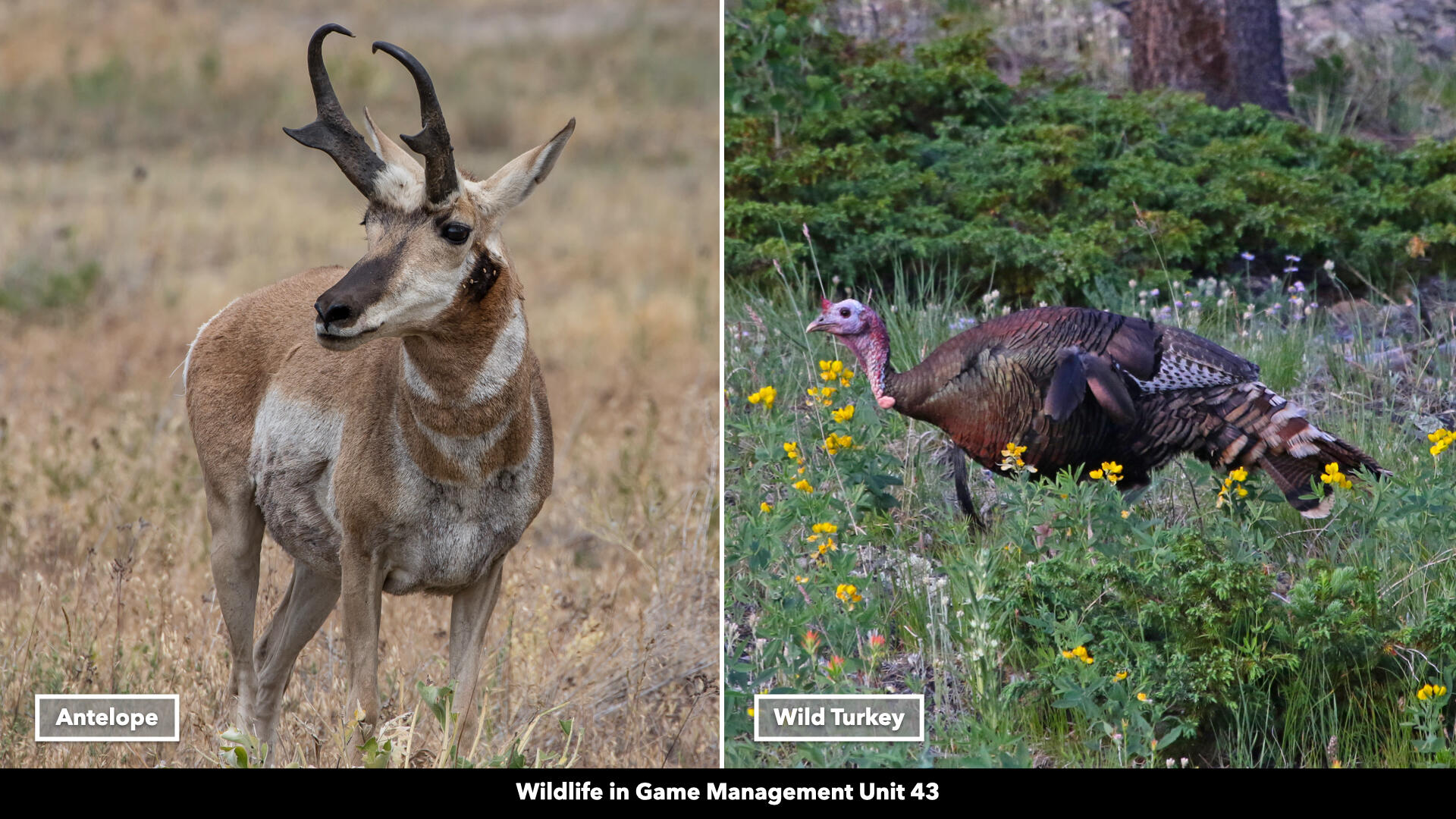 0 County Rd B29a, Villanueva, New Mexico image 16