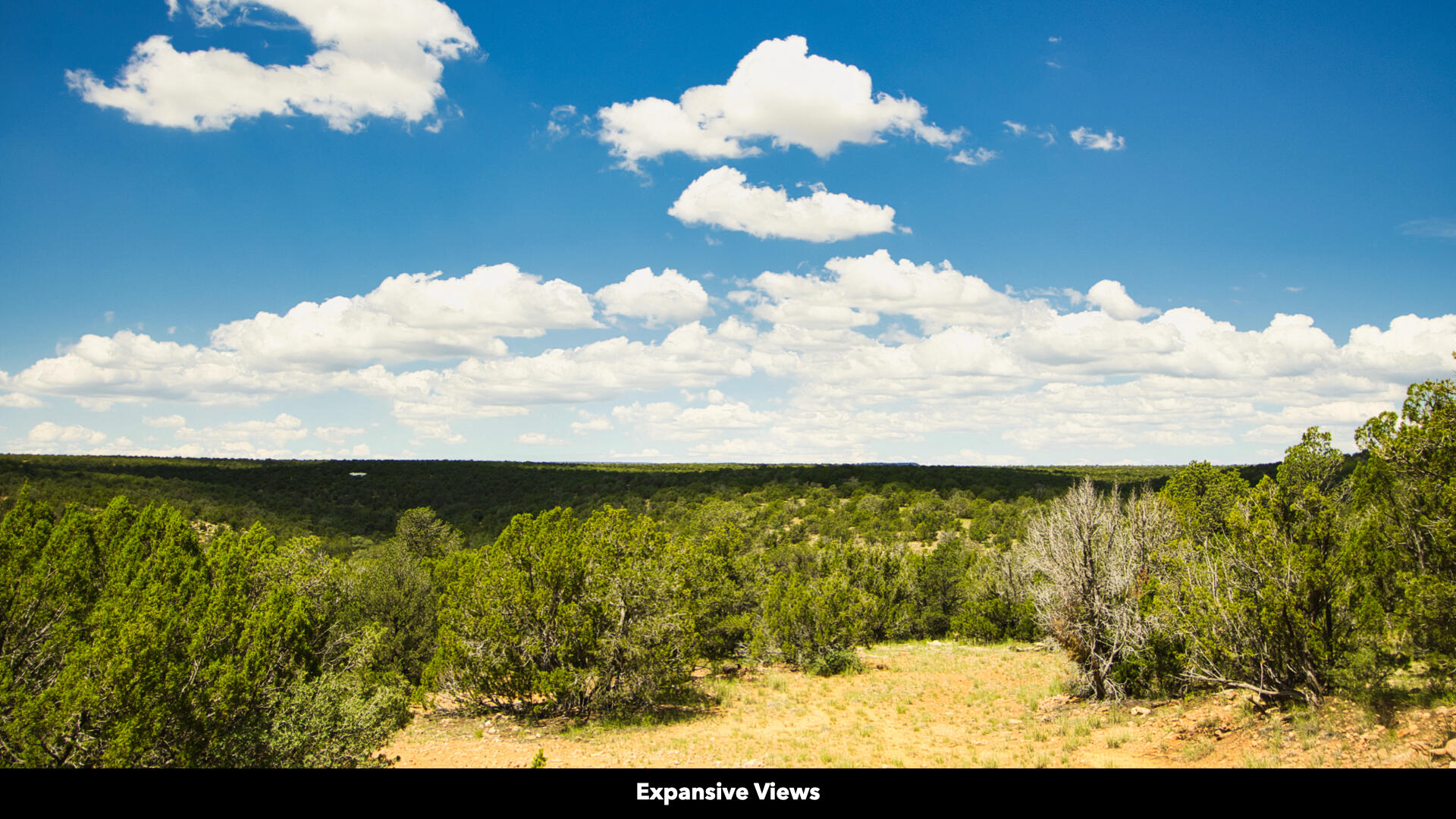 0 County Rd B29a, Villanueva, New Mexico image 41