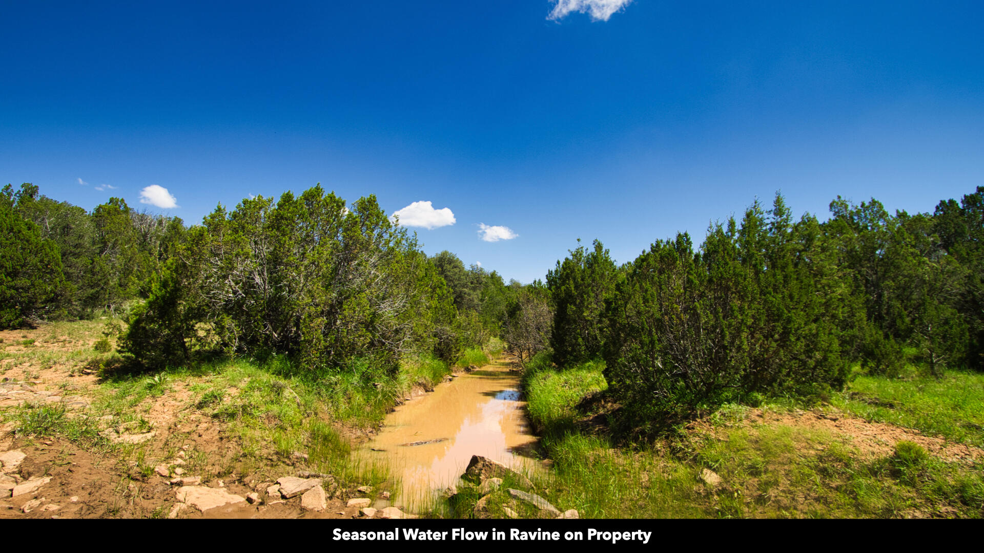 0 County Rd B29a, Villanueva, New Mexico image 3