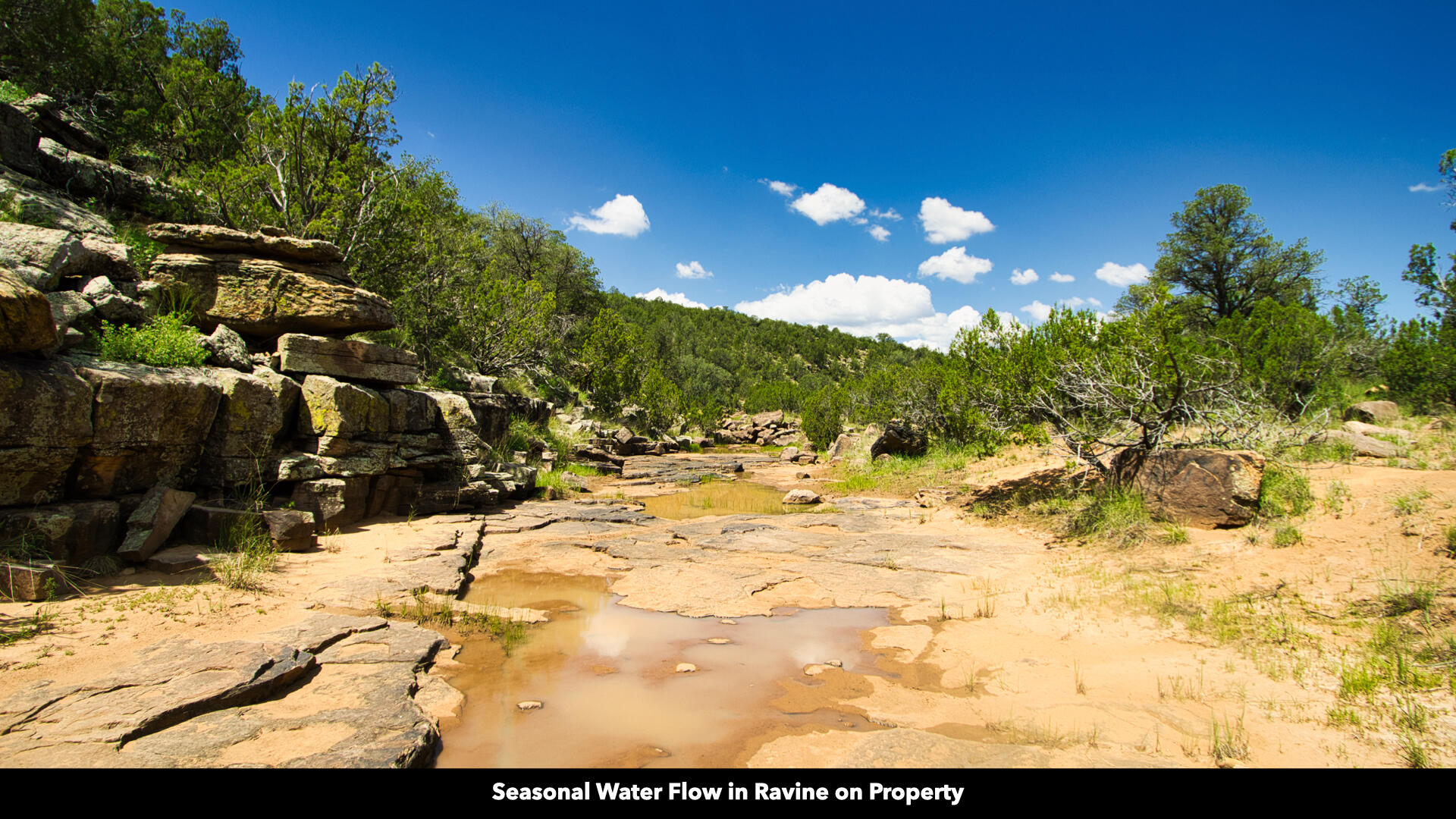 0 County Rd B29a, Villanueva, New Mexico image 4