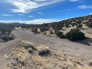 Na Lots 117 118 119 Abbe Springs, Magdalena, New Mexico image 1