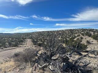 Na Lots 117 118 119 Abbe Springs, Magdalena, New Mexico image 5