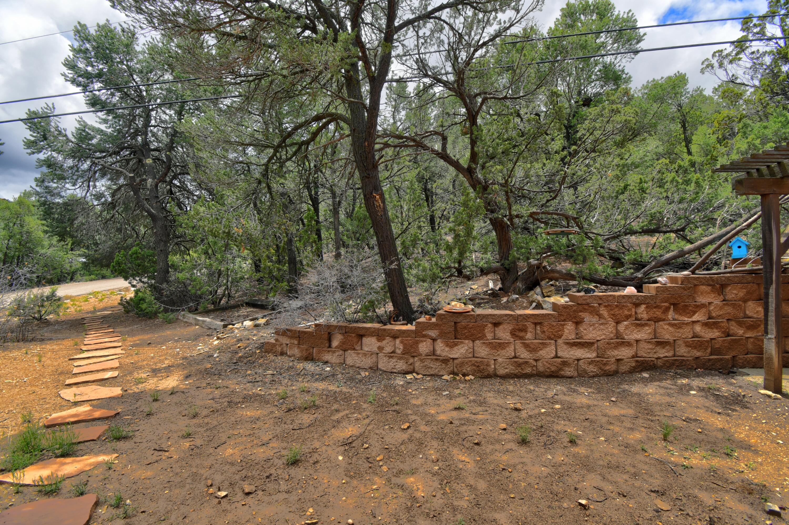 98 Lagarto Road, Tijeras, New Mexico image 21