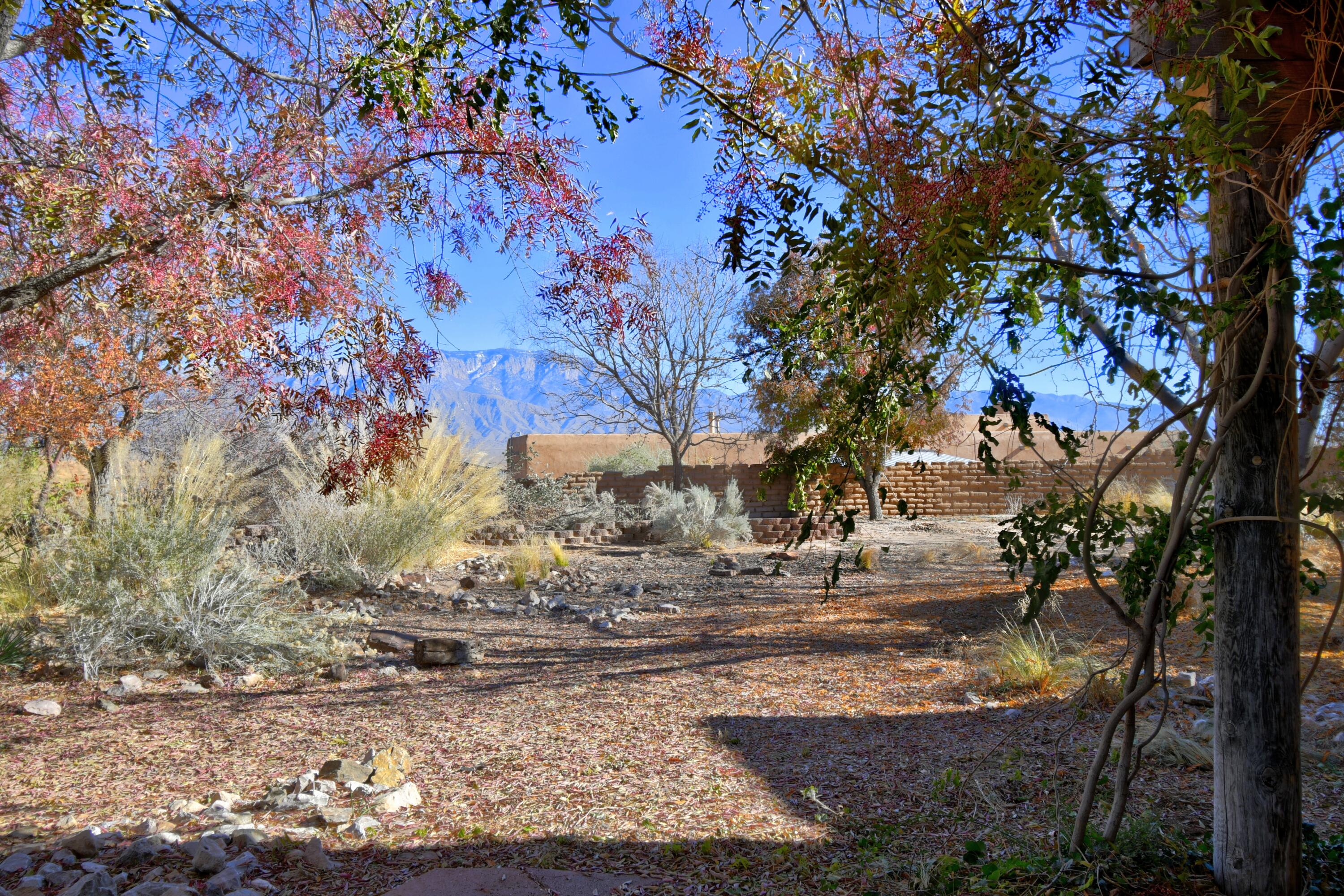 1735 Camino De La Tierra, Corrales, New Mexico image 25