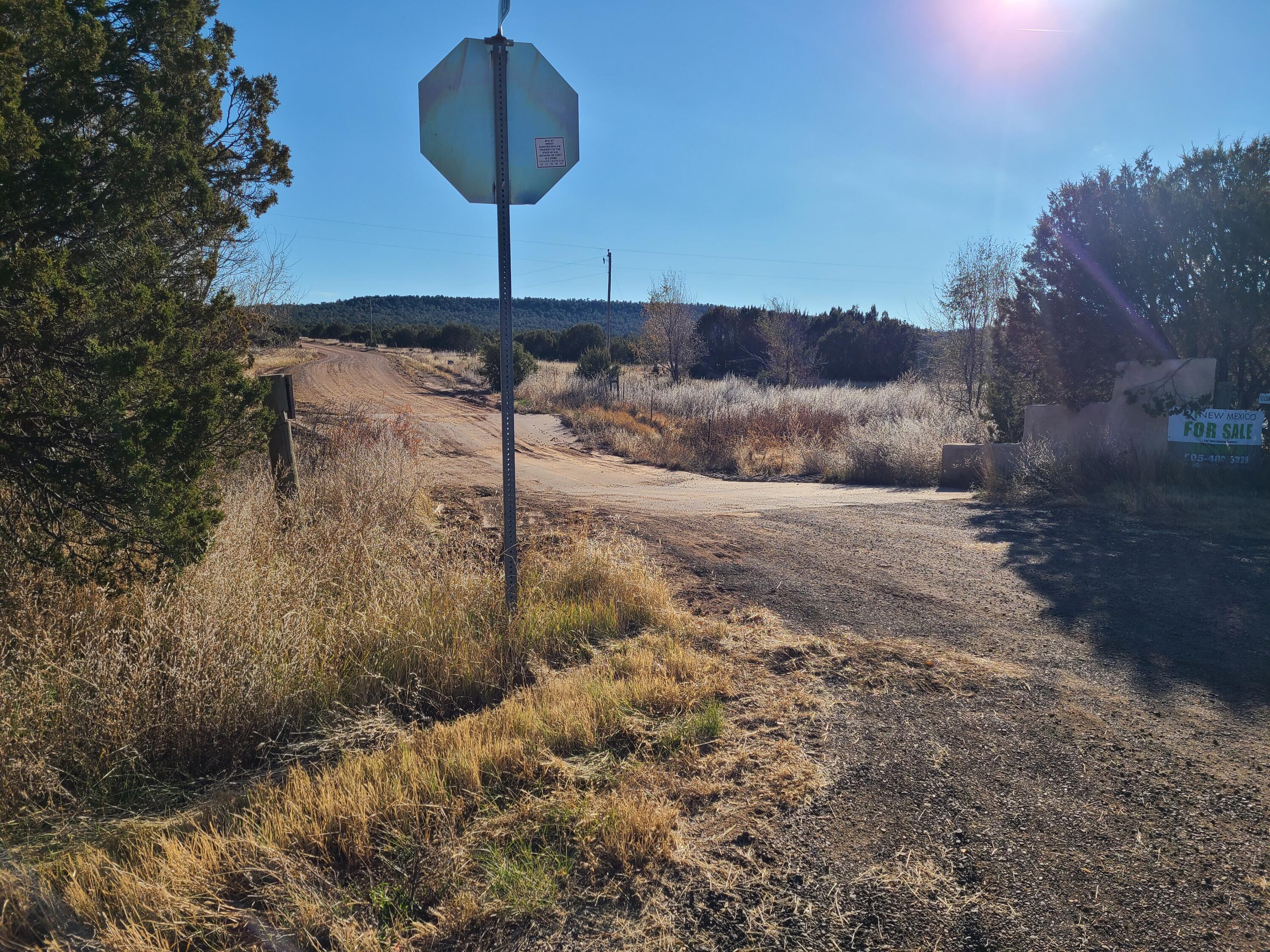 Rosewood Drive #11, Tajique, New Mexico image 2