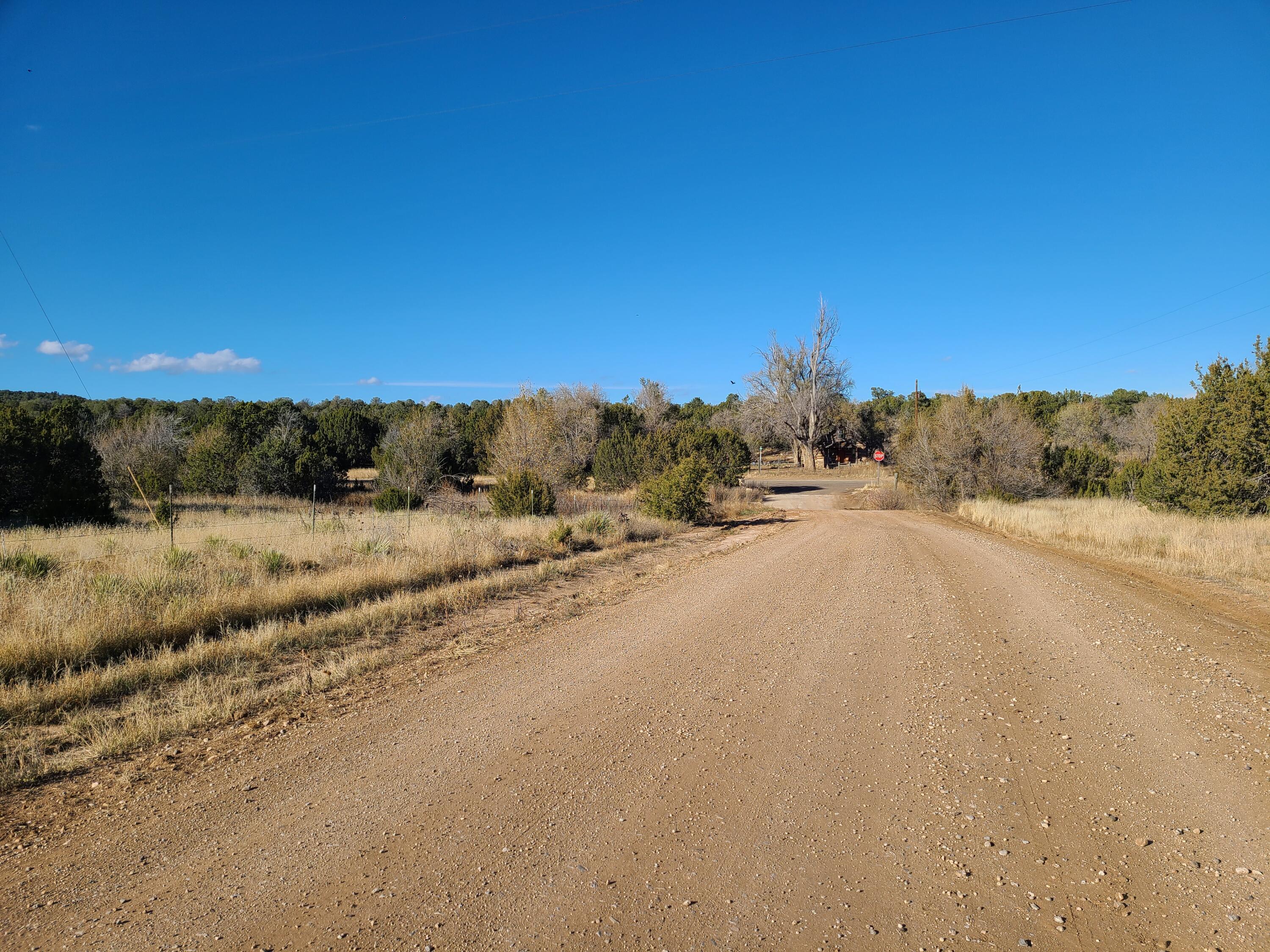 Rosewood Drive #11, Tajique, New Mexico image 8