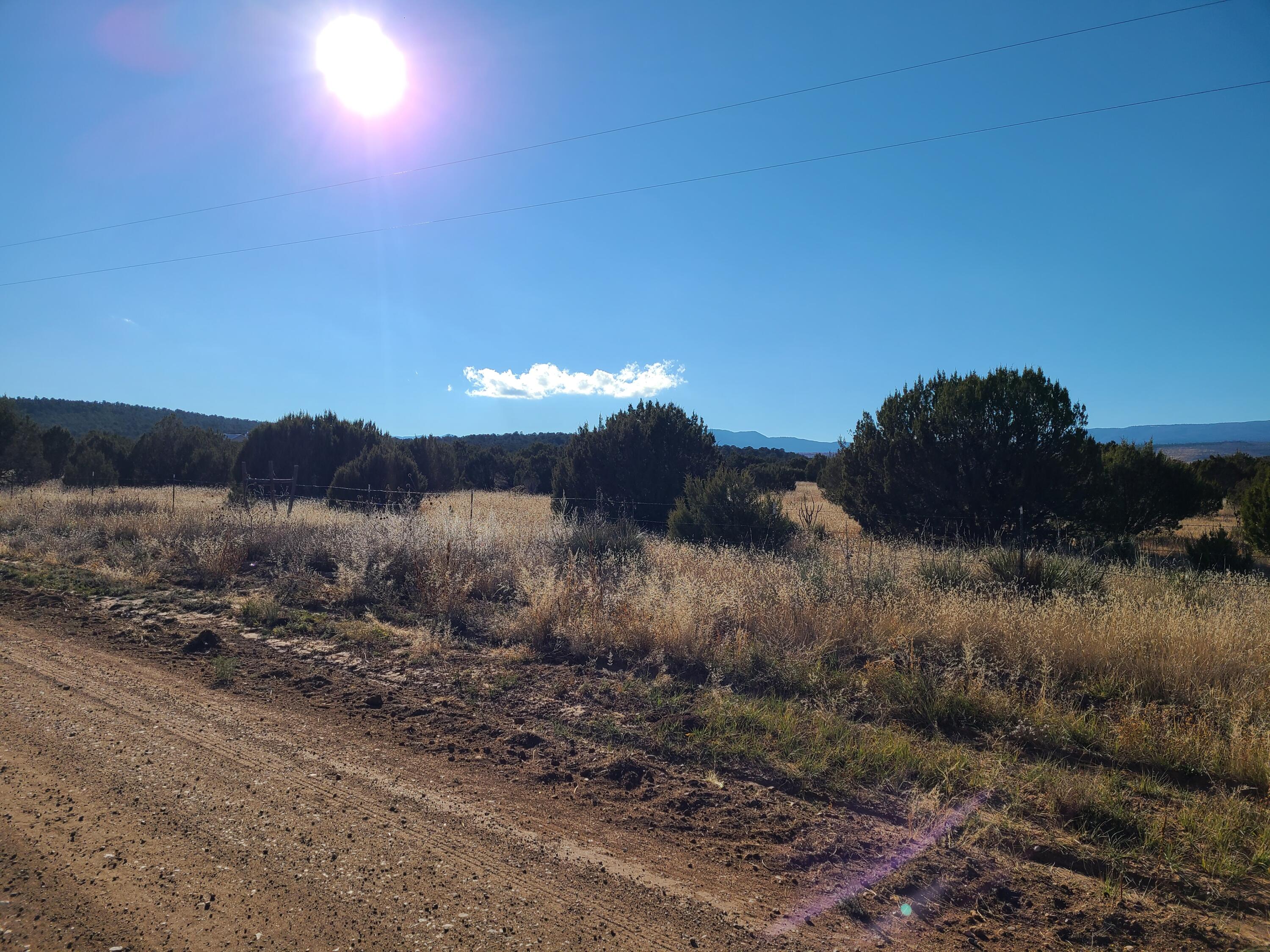 Rosewood Drive #11, Tajique, New Mexico image 6