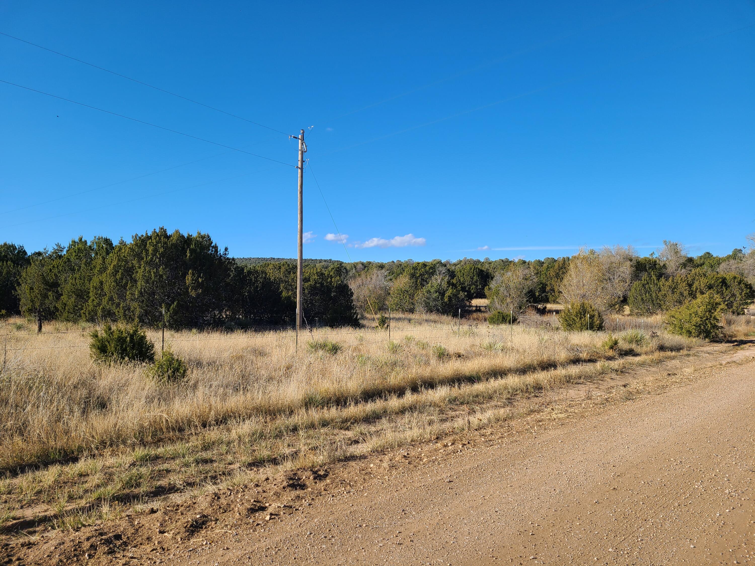 Rosewood Drive #11, Tajique, New Mexico image 9