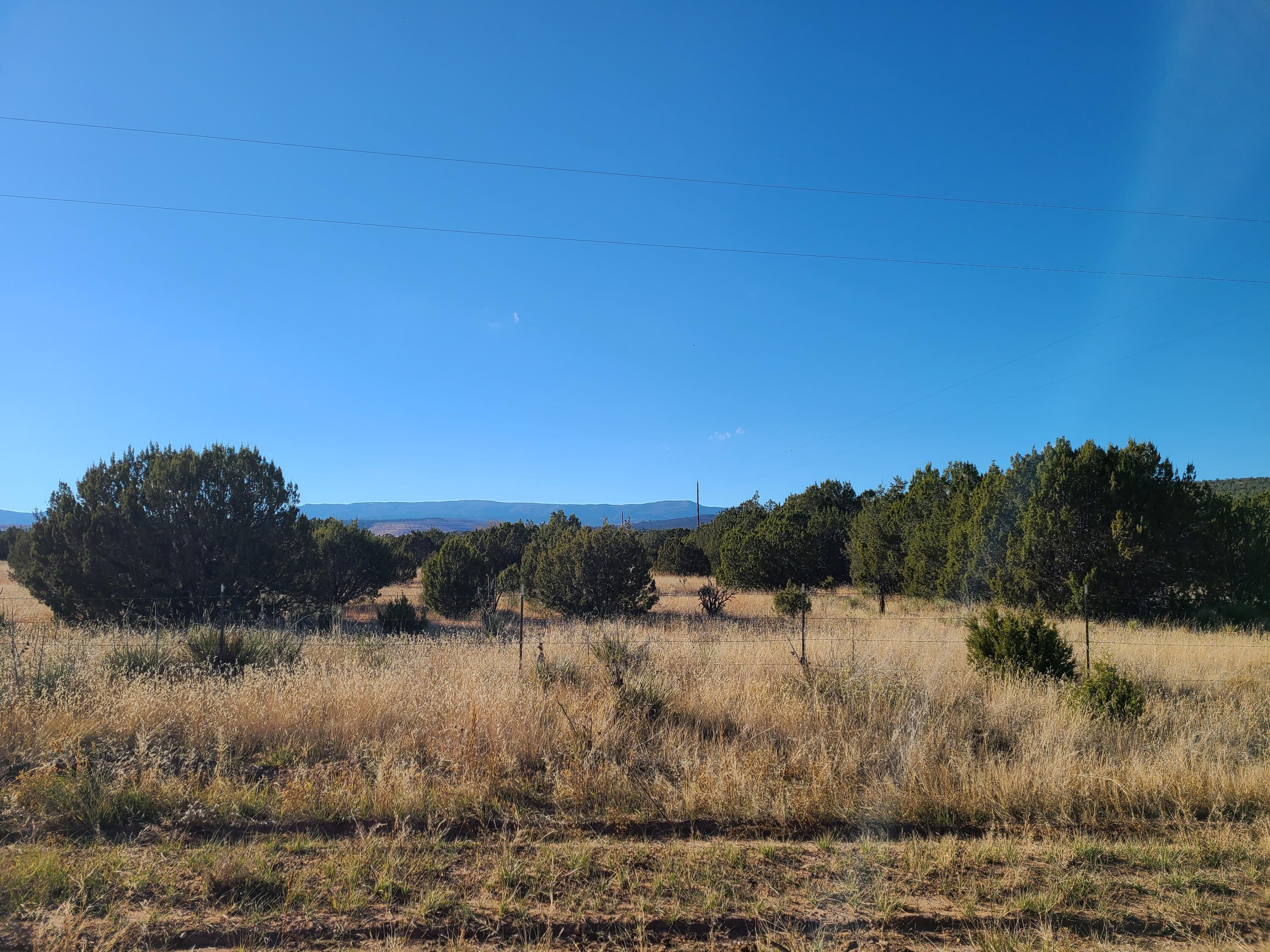 Rosewood Drive #11, Tajique, New Mexico image 7