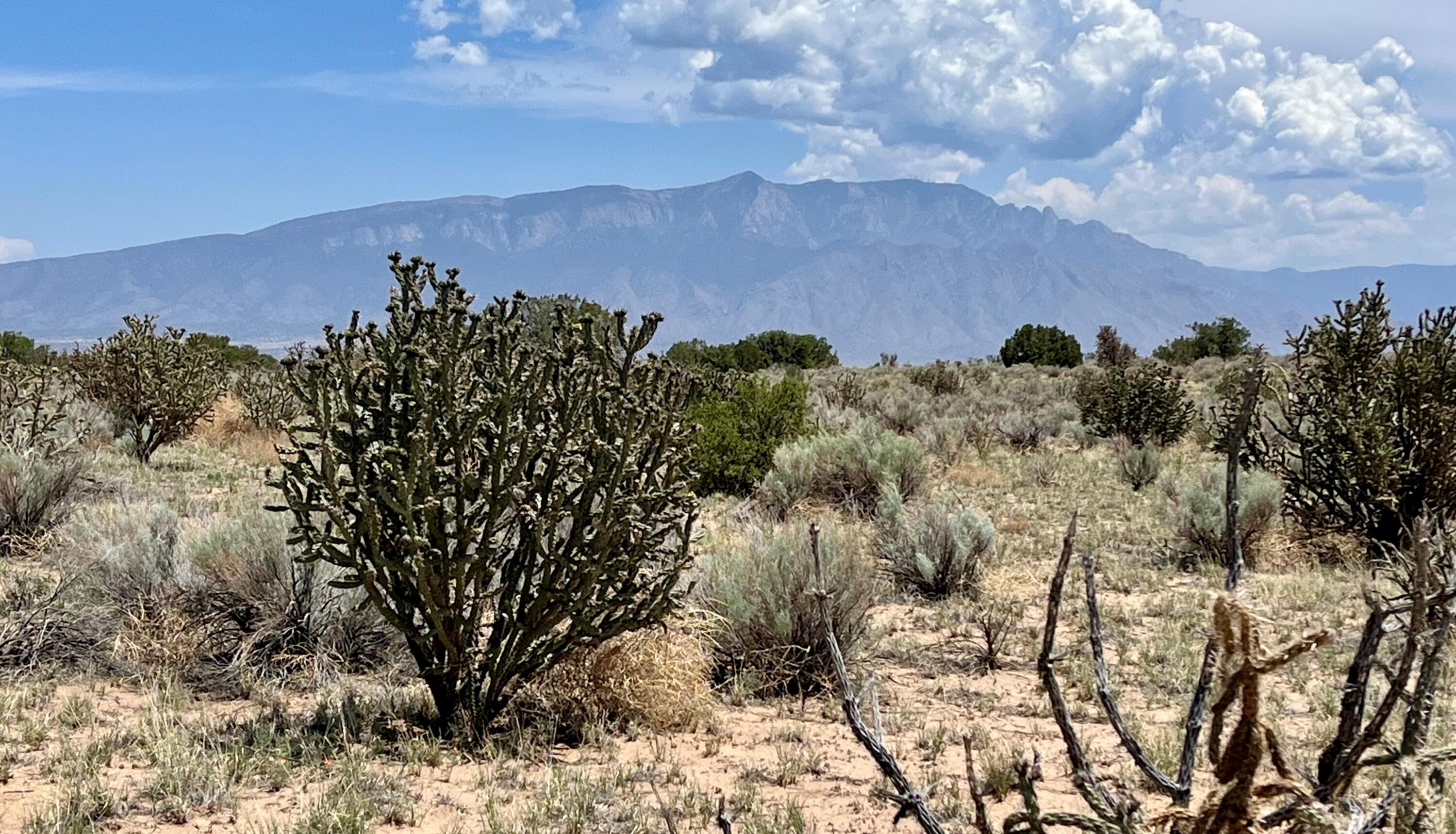 5235 Nambe Road, Rio Rancho, New Mexico image 4