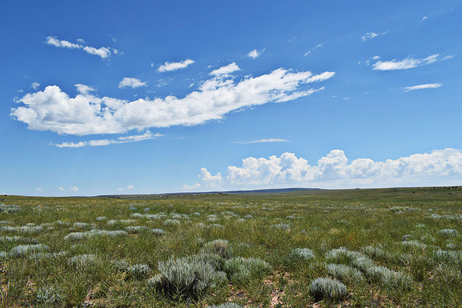 Lot 36 Estancia Ranchettes #6, Moriarty, New Mexico image 6