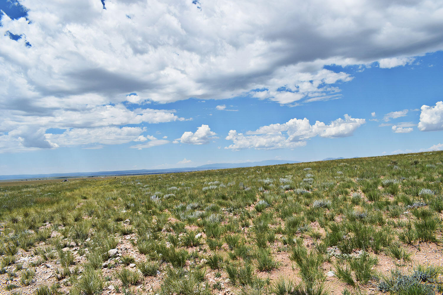 Lot 36 Estancia Ranchettes #6, Moriarty, New Mexico image 21