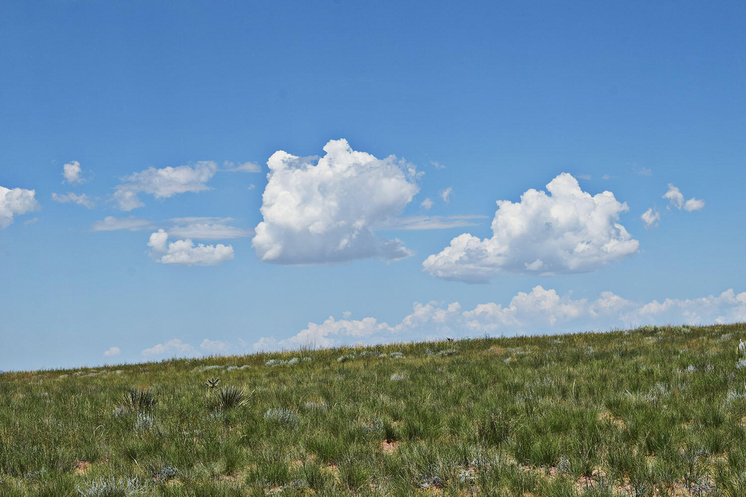 Lot 36 Estancia Ranchettes #6, Moriarty, New Mexico image 18