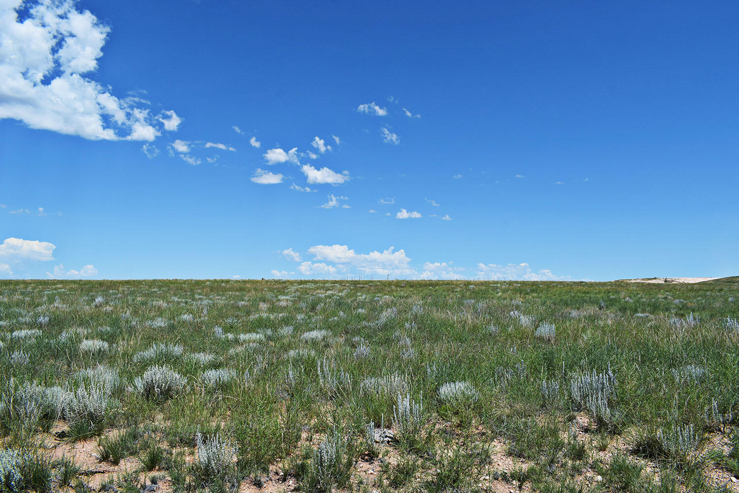 Lot 36 Estancia Ranchettes #6, Moriarty, New Mexico image 1