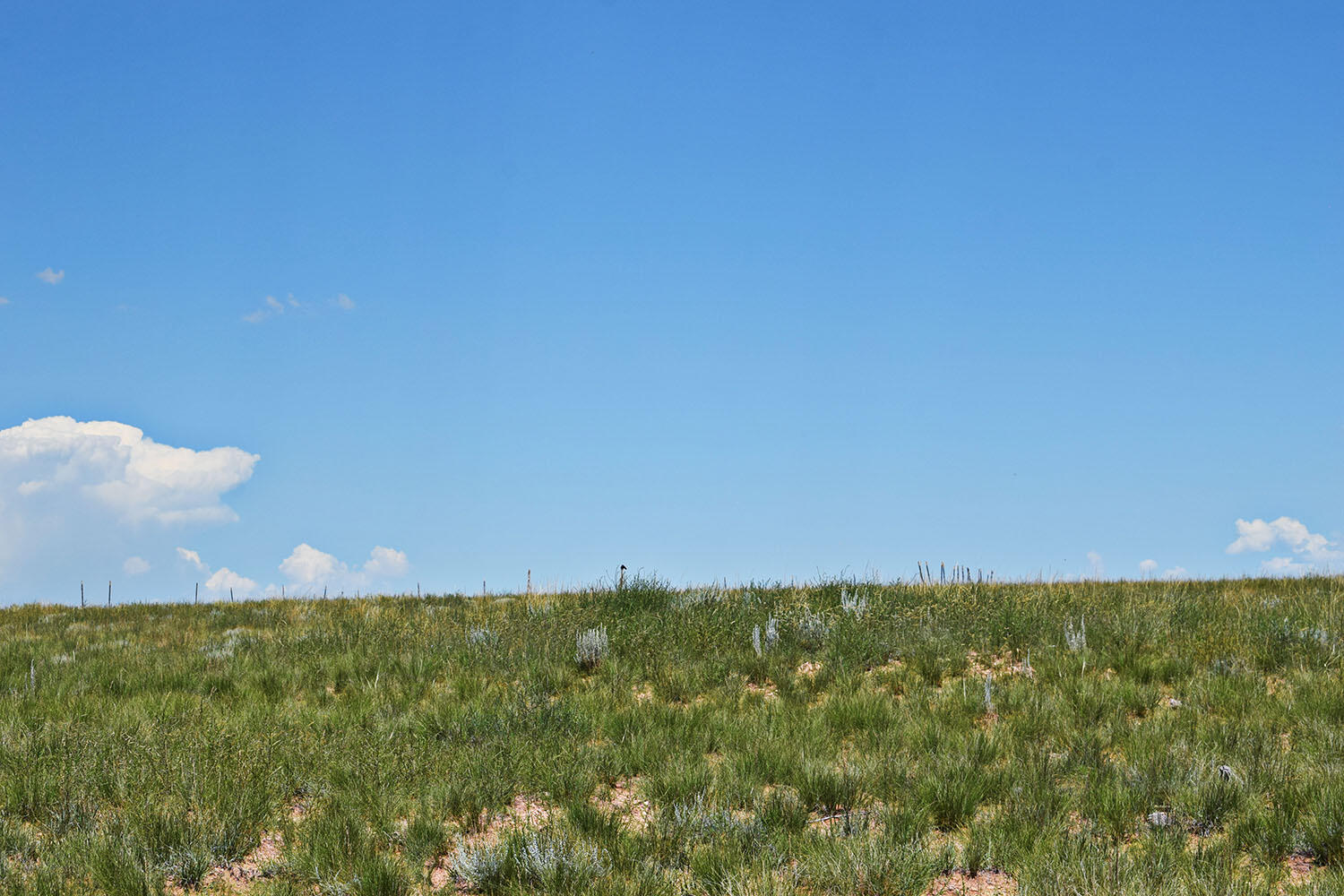 Lot 36 Estancia Ranchettes #6, Moriarty, New Mexico image 17