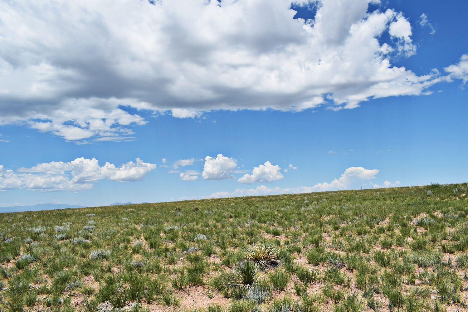 Lot 36 Estancia Ranchettes #6, Moriarty, New Mexico image 20