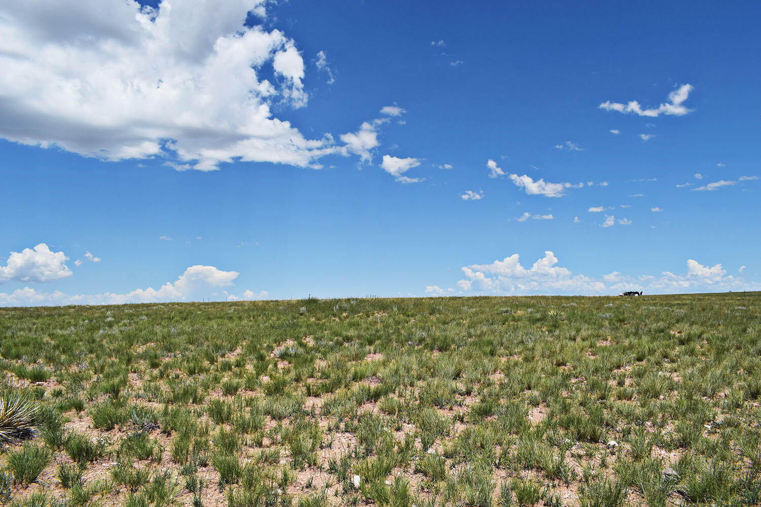 Lot 36 Estancia Ranchettes #6, Moriarty, New Mexico image 19