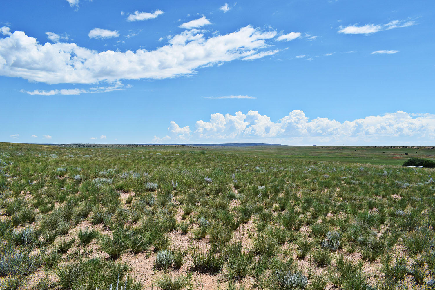 Lot 36 Estancia Ranchettes #6, Moriarty, New Mexico image 4