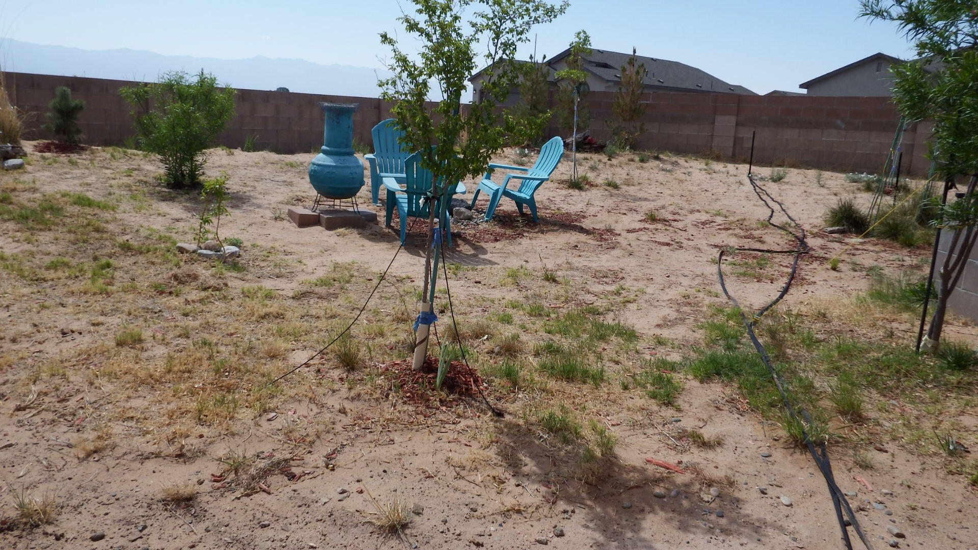 11 Mirador Court, Los Lunas, New Mexico image 46