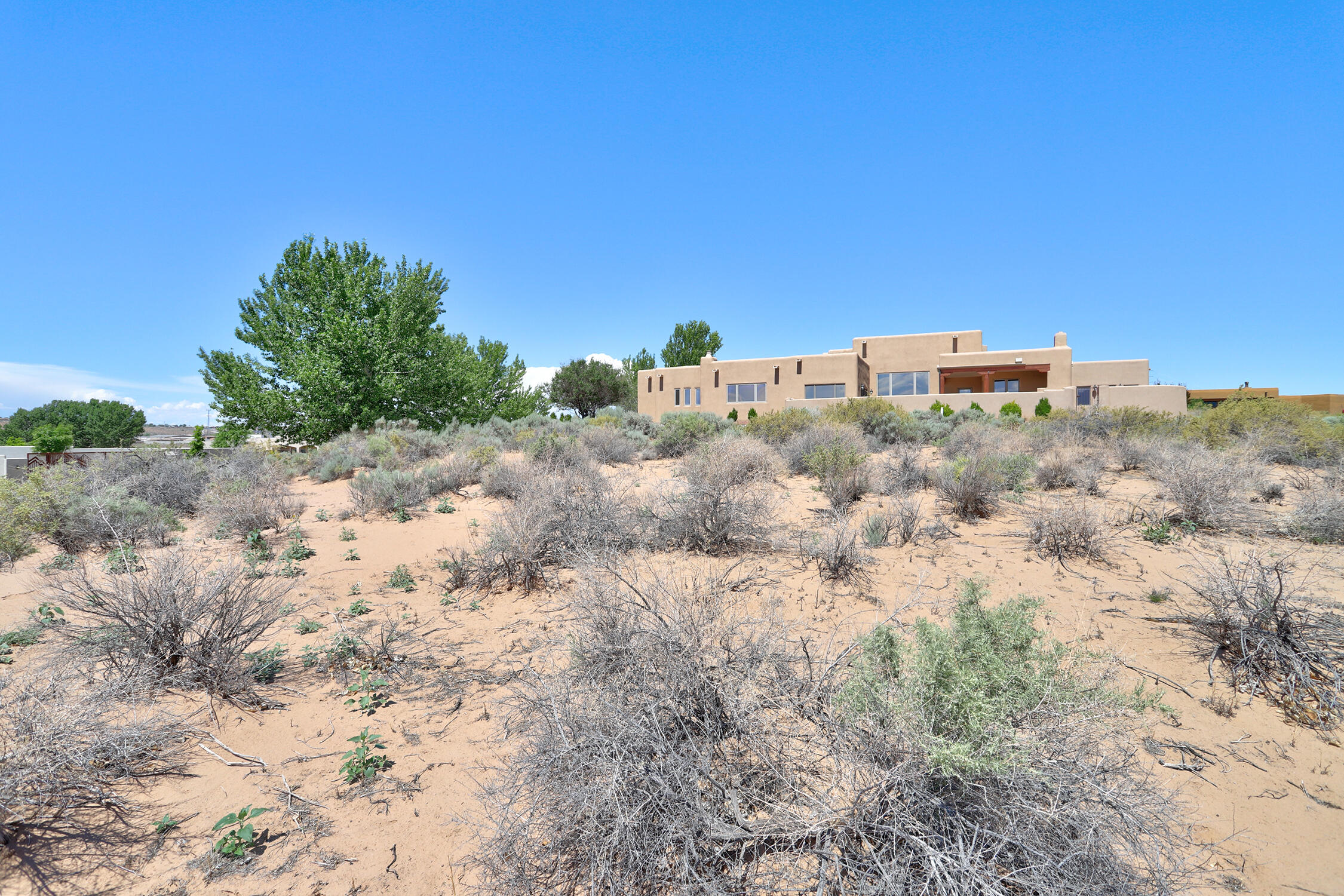 Albino Road, Corrales, New Mexico image 18