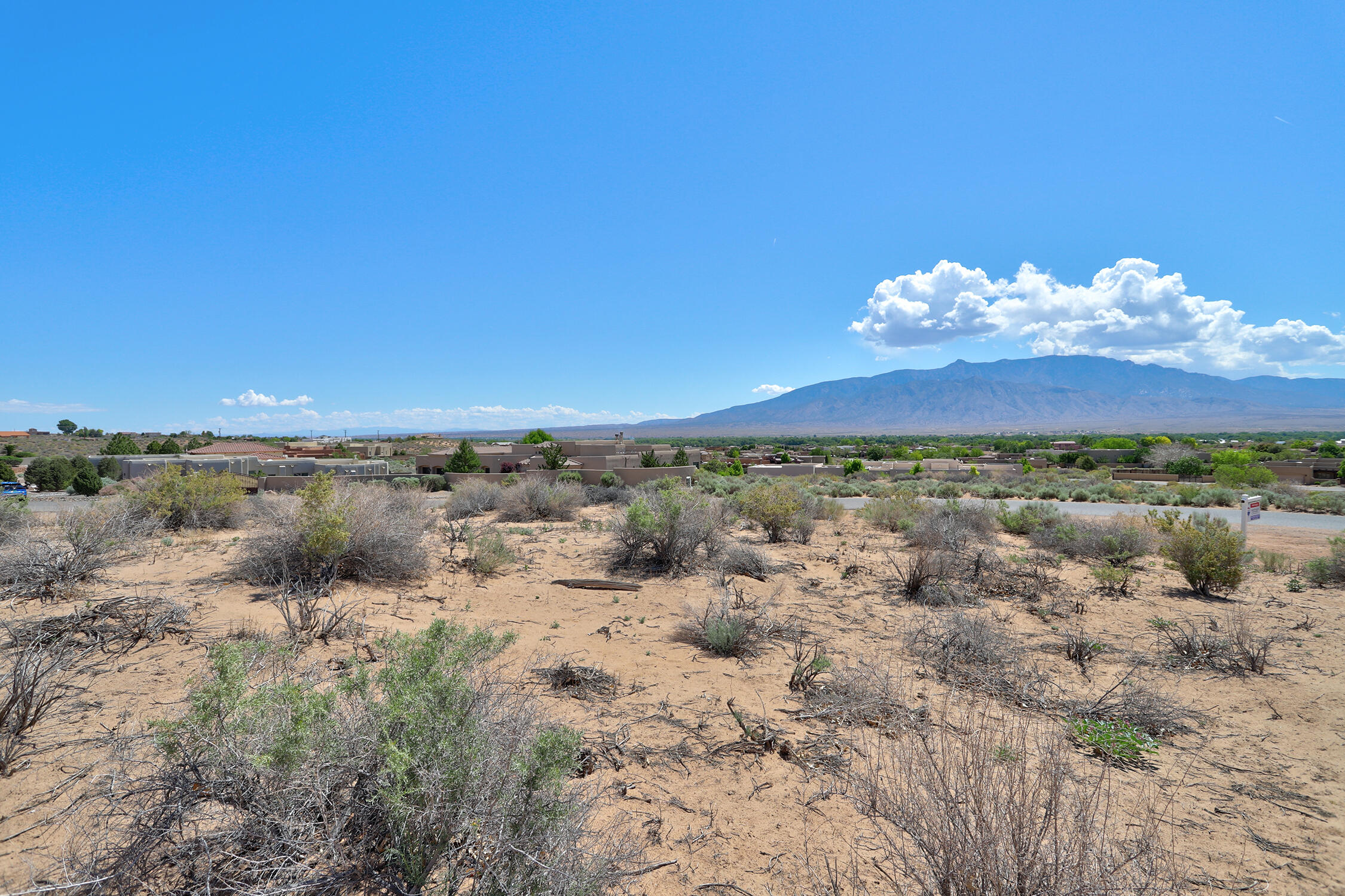 Albino Road, Corrales, New Mexico image 4