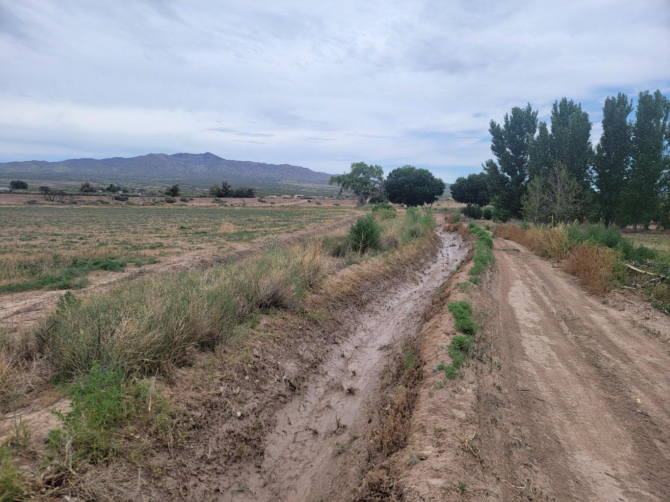 Olive Lane, Lemitar, New Mexico image 17