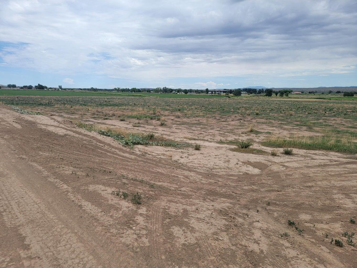 Olive Lane, Lemitar, New Mexico image 22