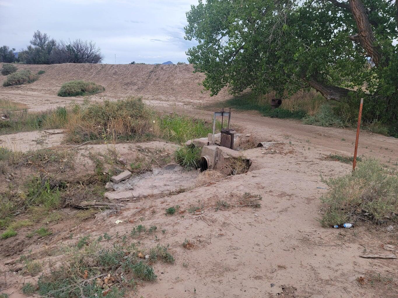 Olive Lane, Lemitar, New Mexico image 20