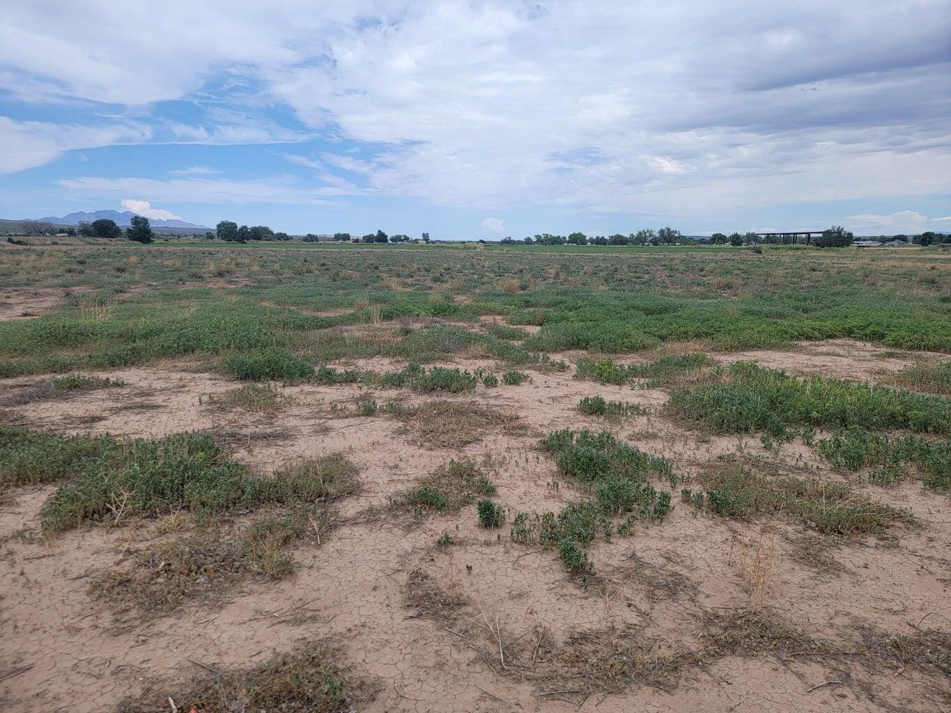 Olive Lane, Lemitar, New Mexico image 19