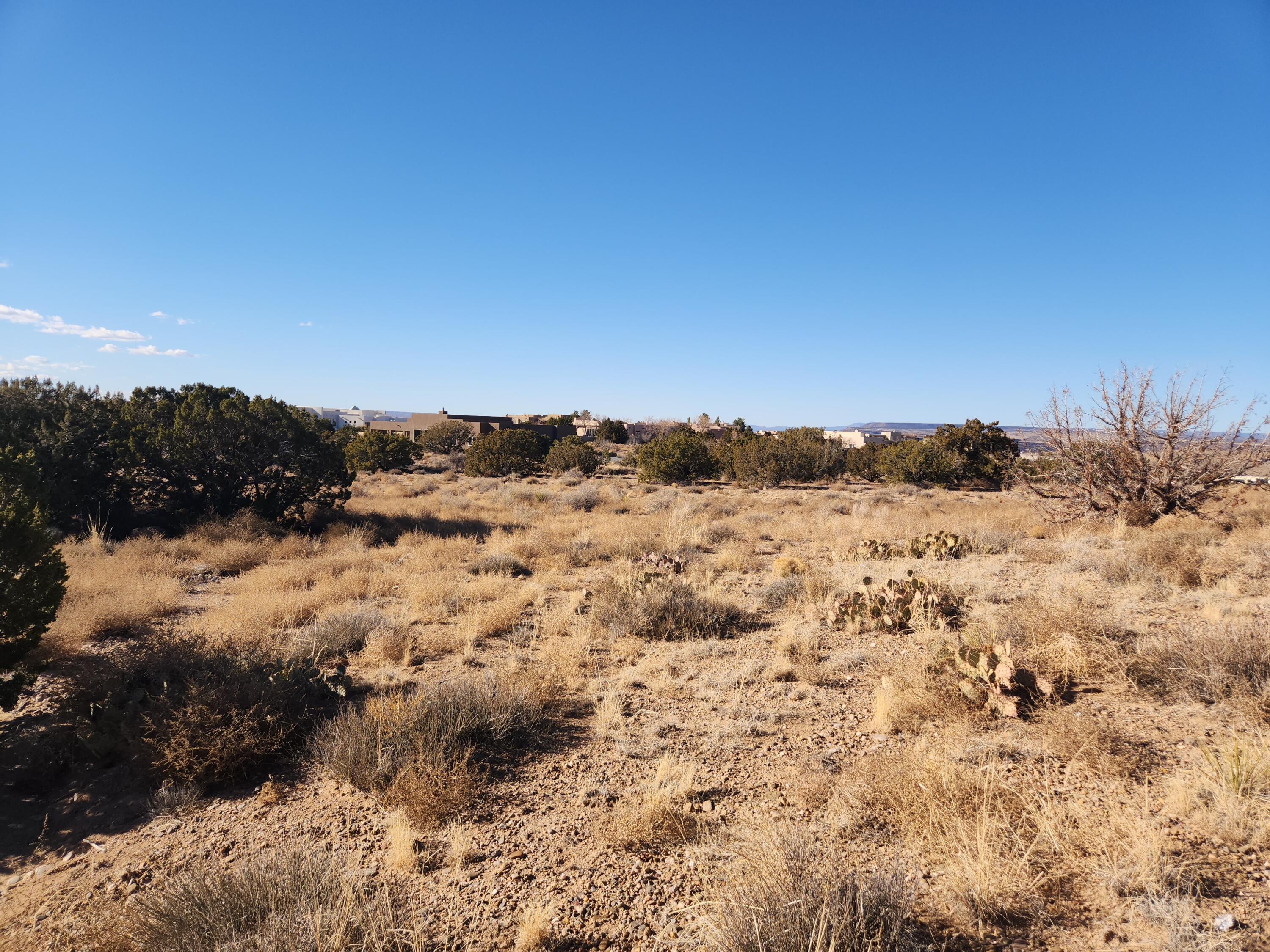 2 Alexi Pl Pl, Placitas, New Mexico image 28